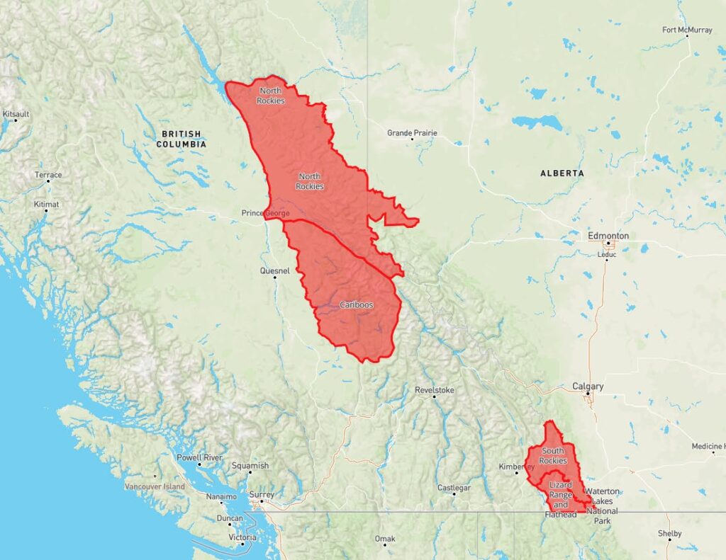 Avalanche Canada issues special avalanche warning for two B.C. regions ...