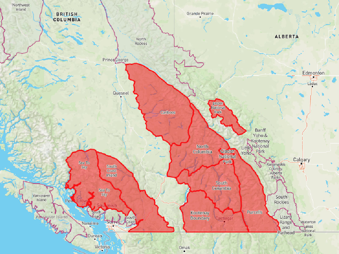 Special avalanche warning for large portion of BC and Jasper, Alberta ...