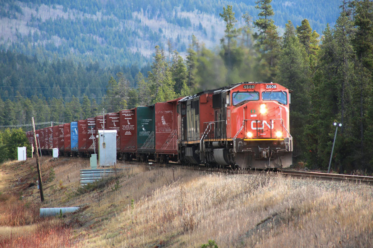 CN to rehabilitate 5th avenue crossing - The Rocky Mountain Goat