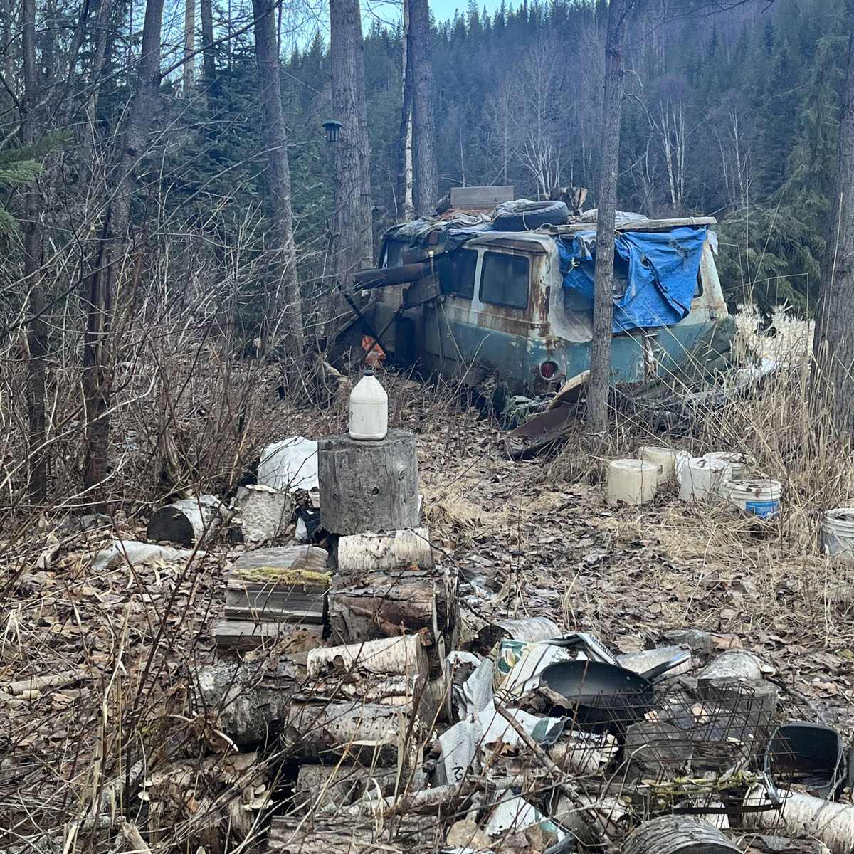 Riverbank clean-up - The Rocky Mountain Goat